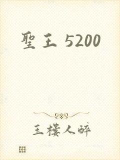 圣王 5200