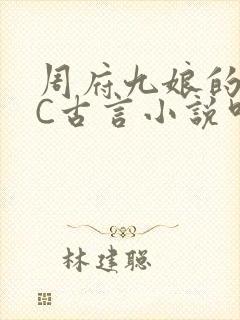 周府九娘的NPC古言小说叫什么