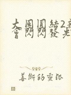 大团圆结2亲情会闪闪发光亲情会