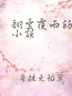 翻云覆雨的秘密小说