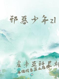 邪恶少年zl