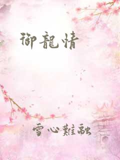 御龙情