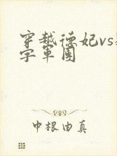 穿越德妃vs数字军团