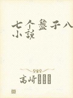 七个盘子八个碗小说
