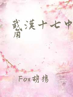 武汉十七中女主角