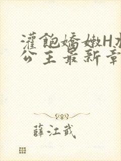 灌饱娇嫩H将军公主最新章节