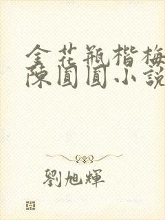 金花瓶楷梅花2陈圆圆小说