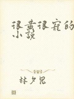 很黄很宠的总裁小说