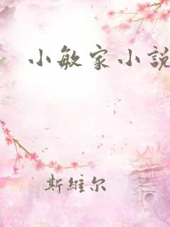 小敏家小说
