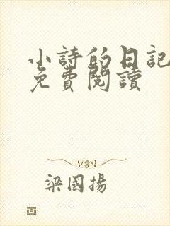 小诗的日记全文免费阅读