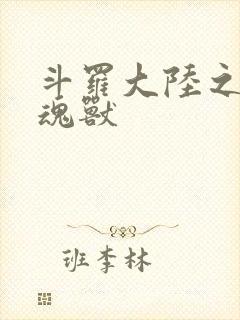 斗罗大陆之最强魂兽