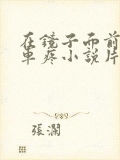 在镜子面前做开车疼小说片段