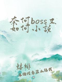奈何boss又如何小说