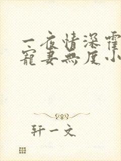 一夜情深霍先生宠妻无度小说免费阅读