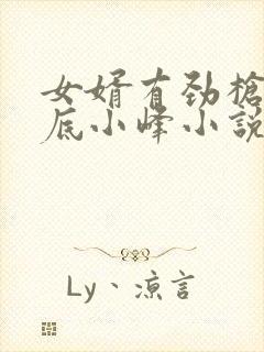 女婿有劲枪枪到底小峰小说