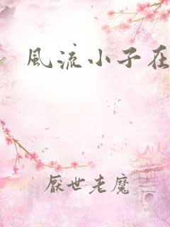 风流小子在异世