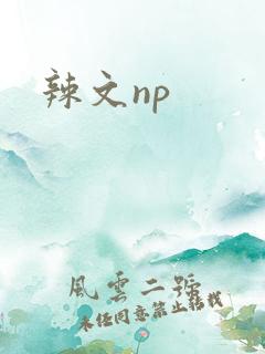 辣文np