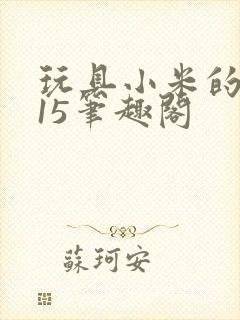 玩具小米的1一15笔趣阁