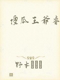 傻瓜王爷睿智妃