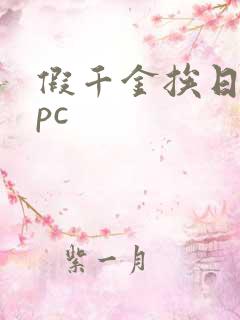 假千金挨日记npc