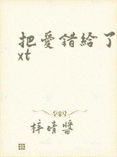 把爱错给了你txt