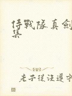 侍战队真剑者全集