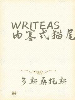 WRITEAS内塞式猫尾