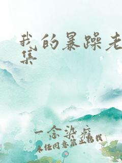 我的暴躁老妈全集