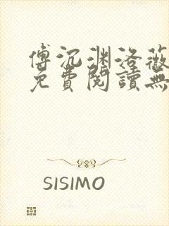 傅沉渊洛薇小说免费阅读无弹窗