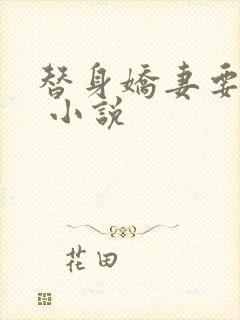 替身娇妻要离婚 小说