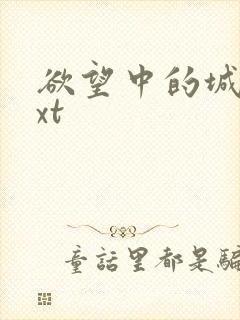 欲望中的城市txt