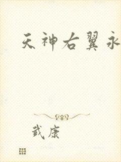 天神右翼永恒
