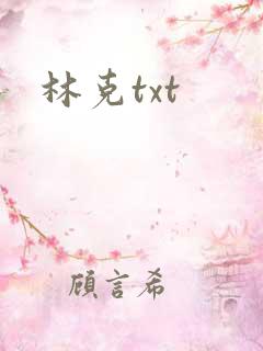 林克txt