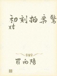 初刻拍案惊奇txt