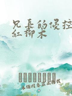 兄长的侵控by红柳木