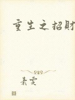 重生之招财进宝