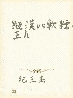 糙汉vs软糯女主h