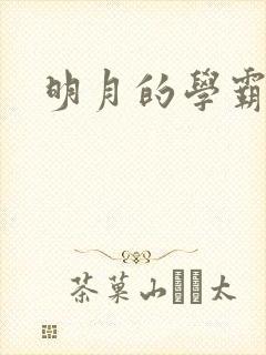 明月的学霸男友