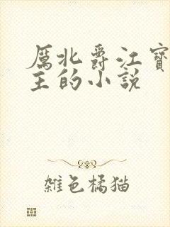 厉北爵江宝宝男主的小说