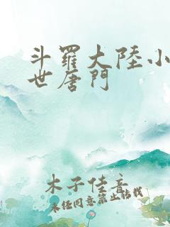 斗罗大陆小说绝世唐门