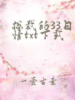 总裁的33日索情txt下载
