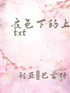 夜色下的上海滩 txt