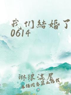 我们结婚了130614