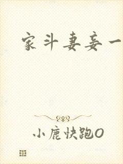 家斗妻妾一家欢