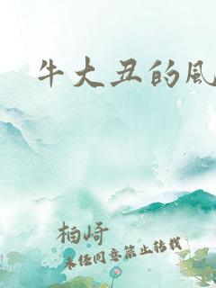 牛大丑的风流记