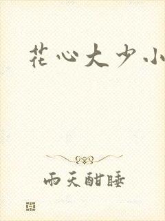 花心大少小说