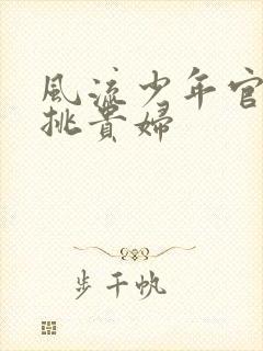 风流少年官途情挑贵妇