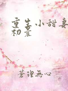 重生小甜妻 慕初晨