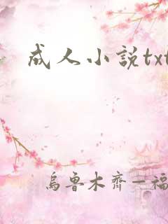 成人小说txt