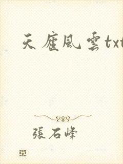 天庐风云txt